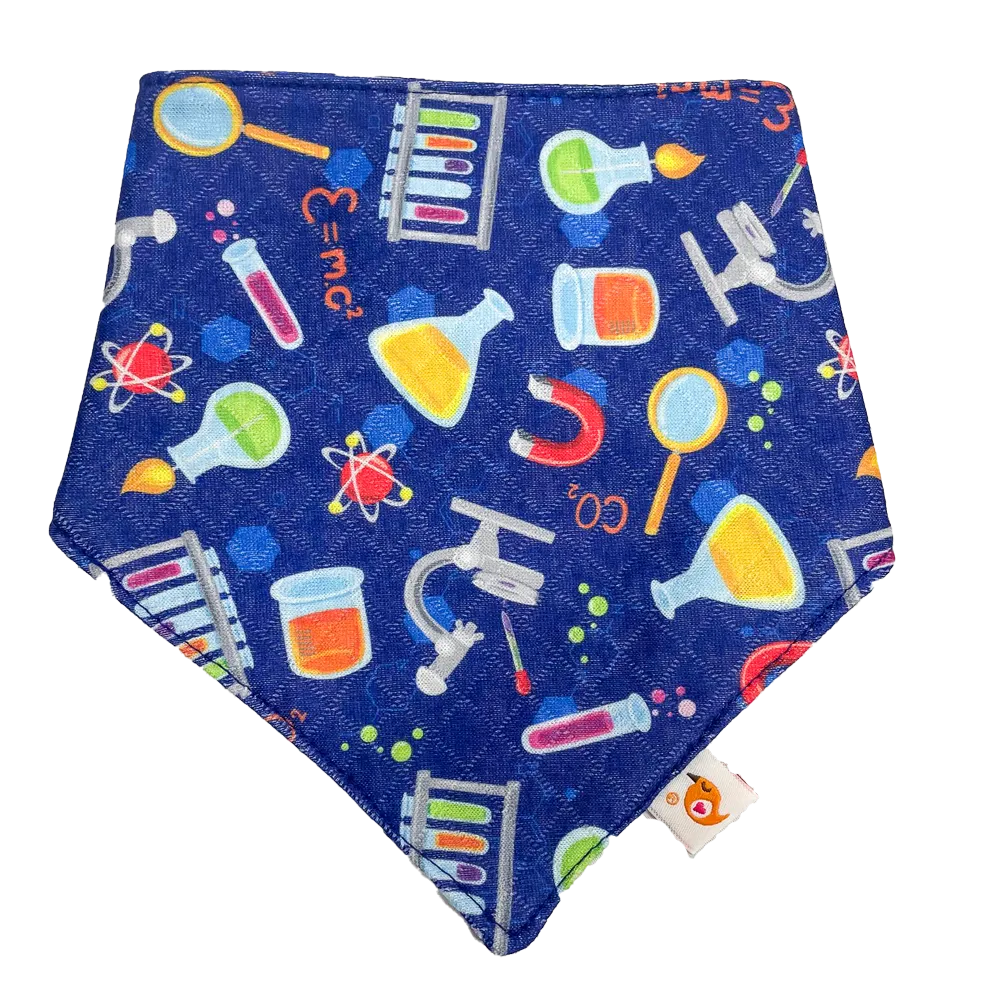 Smart Bottoms | Bandana Bib ~ Periodically